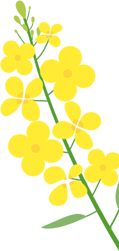 1742867984117047 1742867984117047