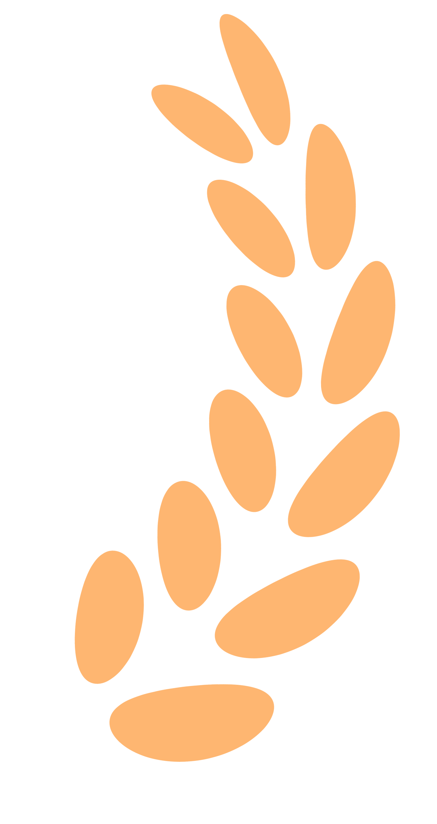 1754288551202668 1754288551202668